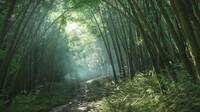 E3 2018: Ghost of Tsushima muestra nuevas localizaciones en vídeo