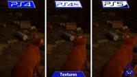 Comparan los grficos de Stray en sus versiones de PS4, PS5 y PC