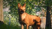 Planet Zoo recibe el pack Southeast Asia Animal y la actualización gratuita 1.5