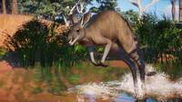 Planet Zoo recibirá koalas, canguros y dingos el 25 de agosto en un nuevo DLC australiano