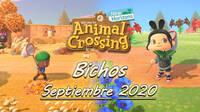 Animal Crossing NH: todos los Bichos que llegan y se van en septiembre 2020