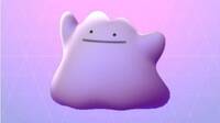 Pokémon GO: Ditto está oculto en estos nuevos Pokémon