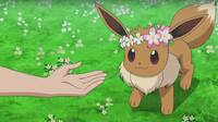 Pokémon GO: cómo conseguir a Eevee (y sus evoluciones) con corona de flores