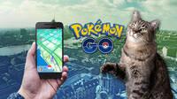 Pokémon GO: Un gatito se hace viral tras ser grabado en vídeo capturando un Pokémon