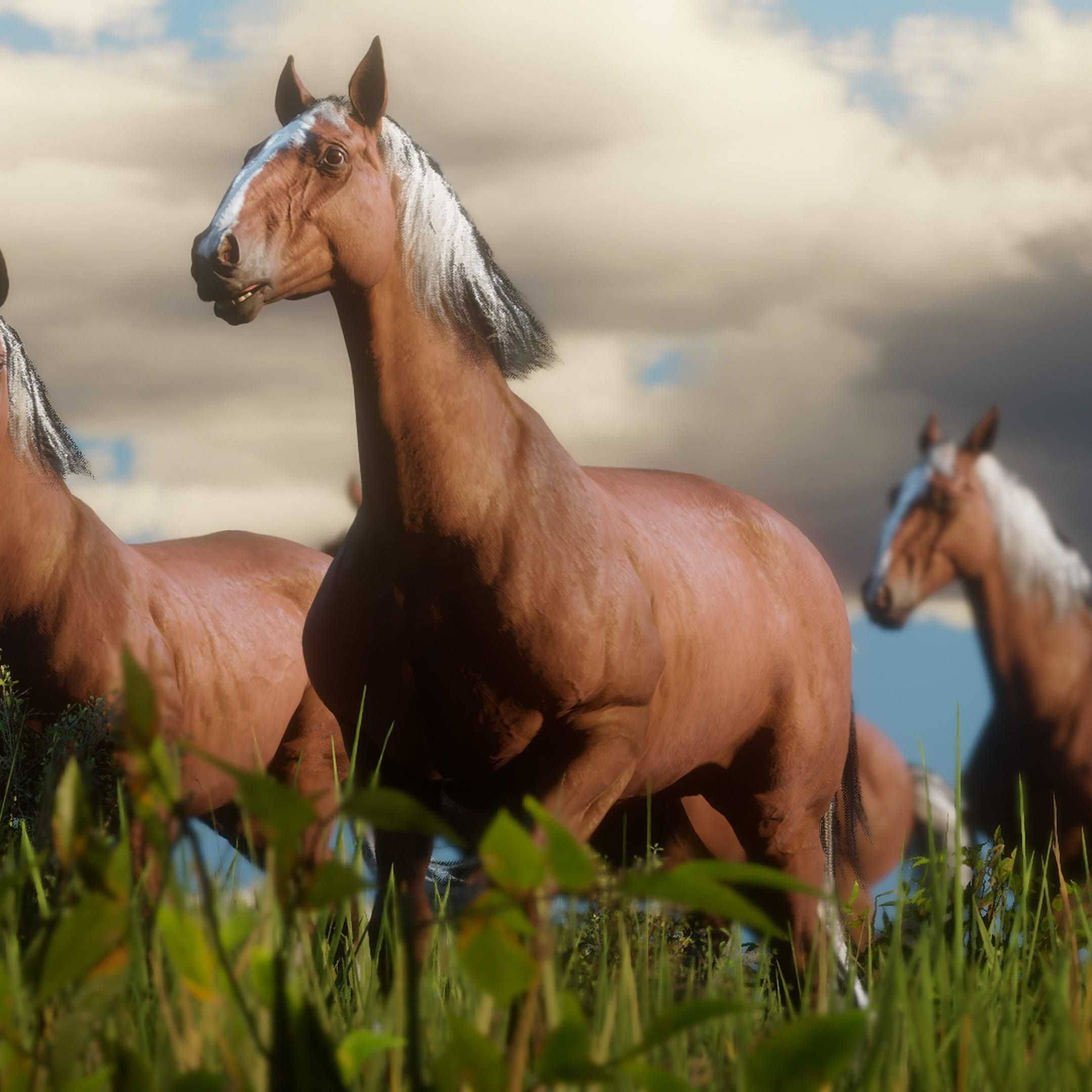 caballo árabe ruano azul