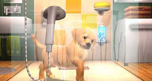 PlayStation Vita Pets - PSVITA