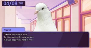 Hatoful Boyfriend - PC