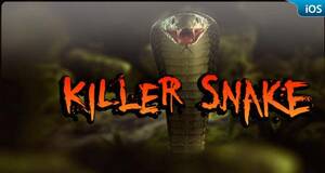 Killer Snake - Análisis