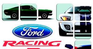 Ford Racing 3 - PS2
