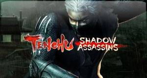 tenchu shadow assassins pc crack
