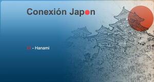 Conexión Japón Hanami