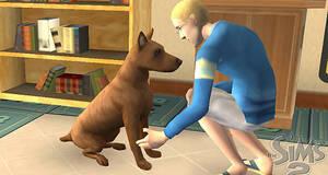 Los Sims 2 Mascotas - PS2