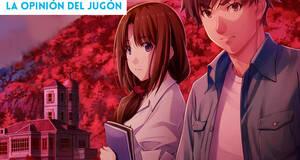 La Opinión del Jugón Novelas visuales