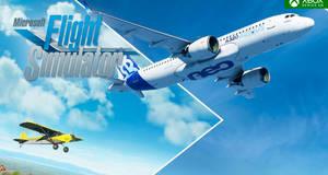 Microsoft Flight Simulator - Análisis