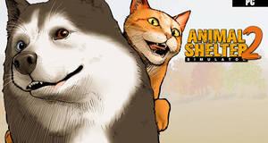 Animal Shelter 2 - Anlisis