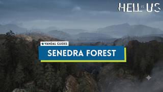 Hell is Us: Senedra Forest 100% Walkthrough