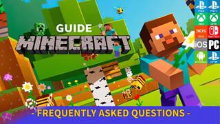 Frequently Asked Questions in Minecraft