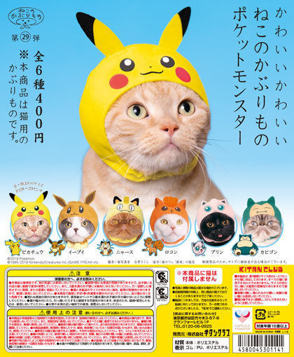 Estos disfraces de Pokmon harn a nuestro gato an ms adorable Imagen 3