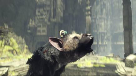 La expresividad de Trico es fascinante.