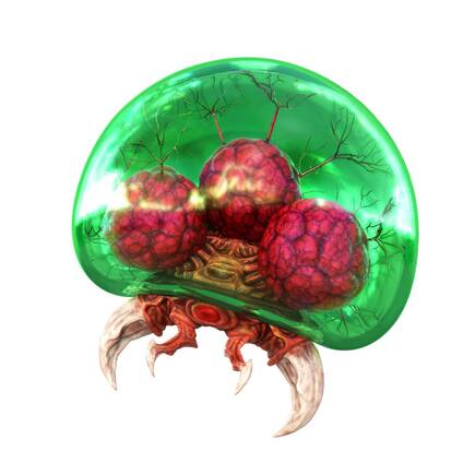 El objetivo de la aventura es muy claro: acabar con 40 metroides, que eso s�, van evolucionando a lo largo del juego...