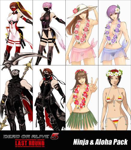 Un ejemplo de los trajes que llegar�n en DoA 5: Last Round.