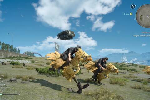 Los chocobos