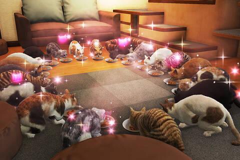 Un juego con gatos a la fuerza debe ser bueno