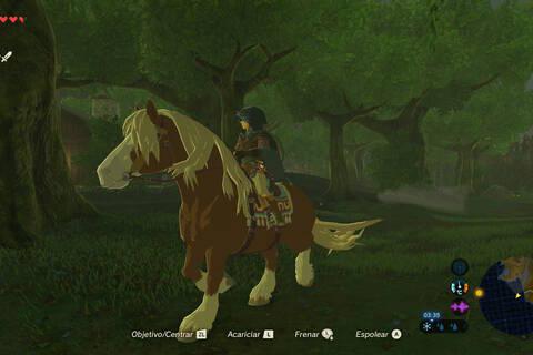 Las opciones de compra