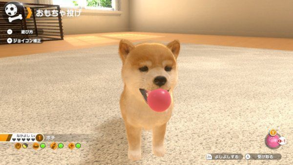 As es Little Friends: Dogs & Cats, un sucesor de Nintendogs para Switch Imagen 2