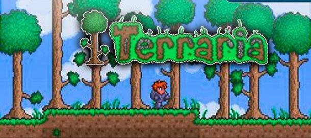 Terraria PSN