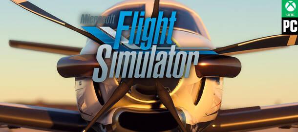 Microsoft Flight Simulator
