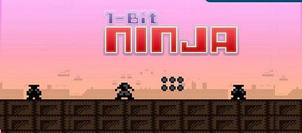 1-bit Ninja