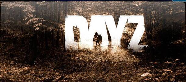 DayZ