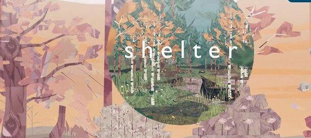 Shelter