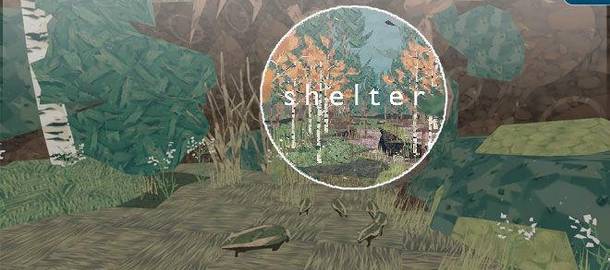 Shelter