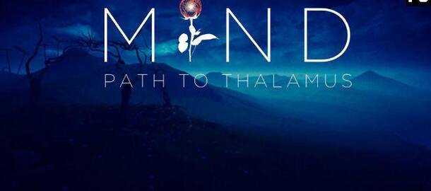 Mind: Path to Thalamus