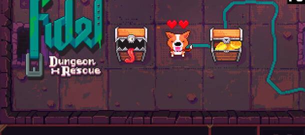 Fidel Dungeon Rescue