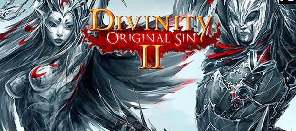 Divinity: Original Sin II