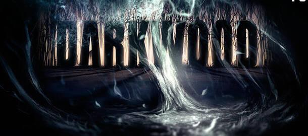 Darkwood когда выйдет 9 эпизод