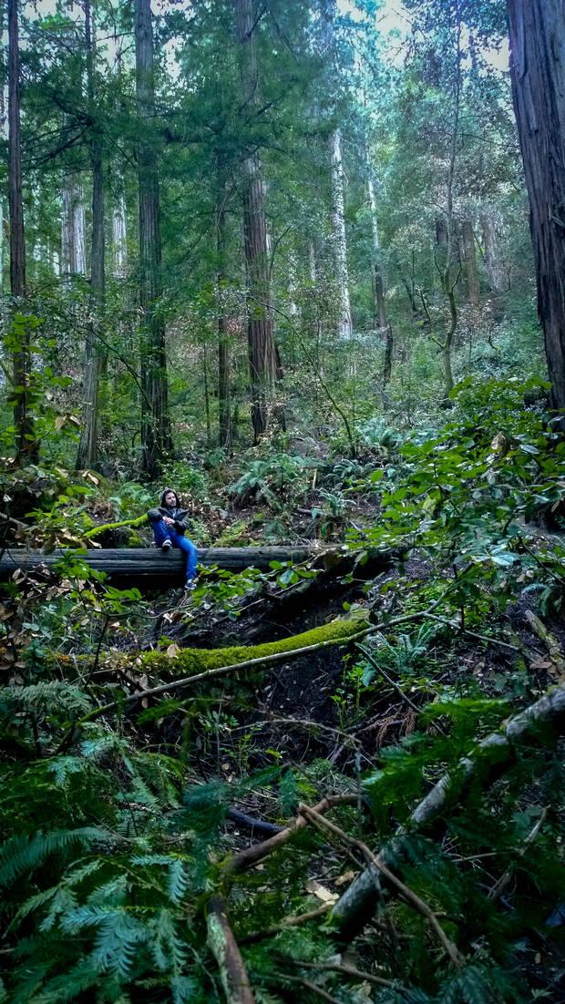 Jiménez es un amante de la naturaleza. En la imagen, en un viaje a Muir Woods, en California.