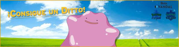 Pokémon Espada y Escudo conseguir un Ditto para criar Pokémon