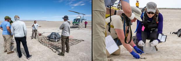 Recogiendo muestras y empacando la cpsula de la misin OSIRIS-REx