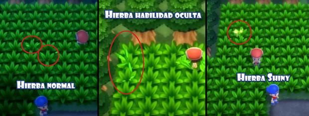 Pokémon Diamante Brillante y Pokémon Perla Reluciente - Tipos de hierba alta con el PokéRadar