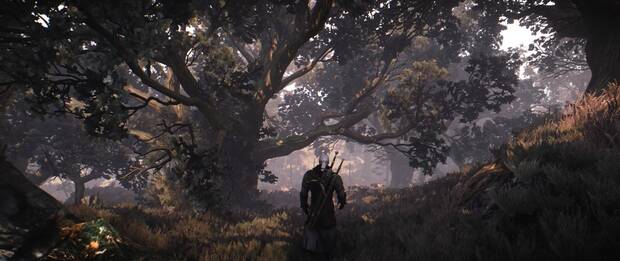 The Witcher 3 luce espectacular gracias al mod Black Unicorn Reshade Imagen 2