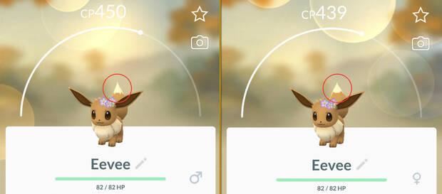 Eevee con diferencia de gnero en la cola en Pokmon Go