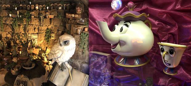 Exposicin de Harry Potter y La Bella y la Bestia en El Castillo Encantado
