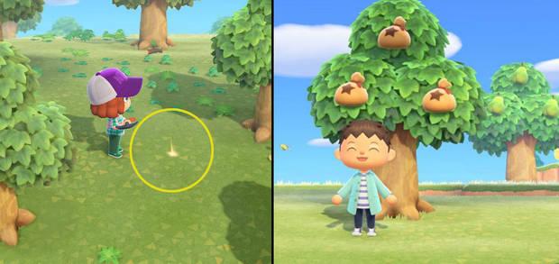 Animal Crossing: New Horizons - Cómo plantar árboles de bayas