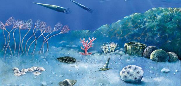 Evolución y llegada de la era del Paleozoico en la Tierra