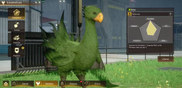 Con las verduras que consig�is en las partidas podr�is mejorar los atributos de vuestro chocobo, a quien podr�is invocar y vestir con diversas armaduras.