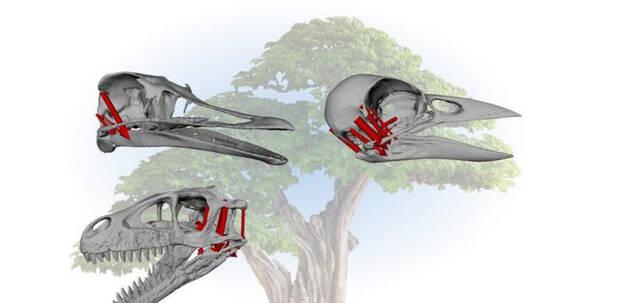 Cerebro de los dinosaurios